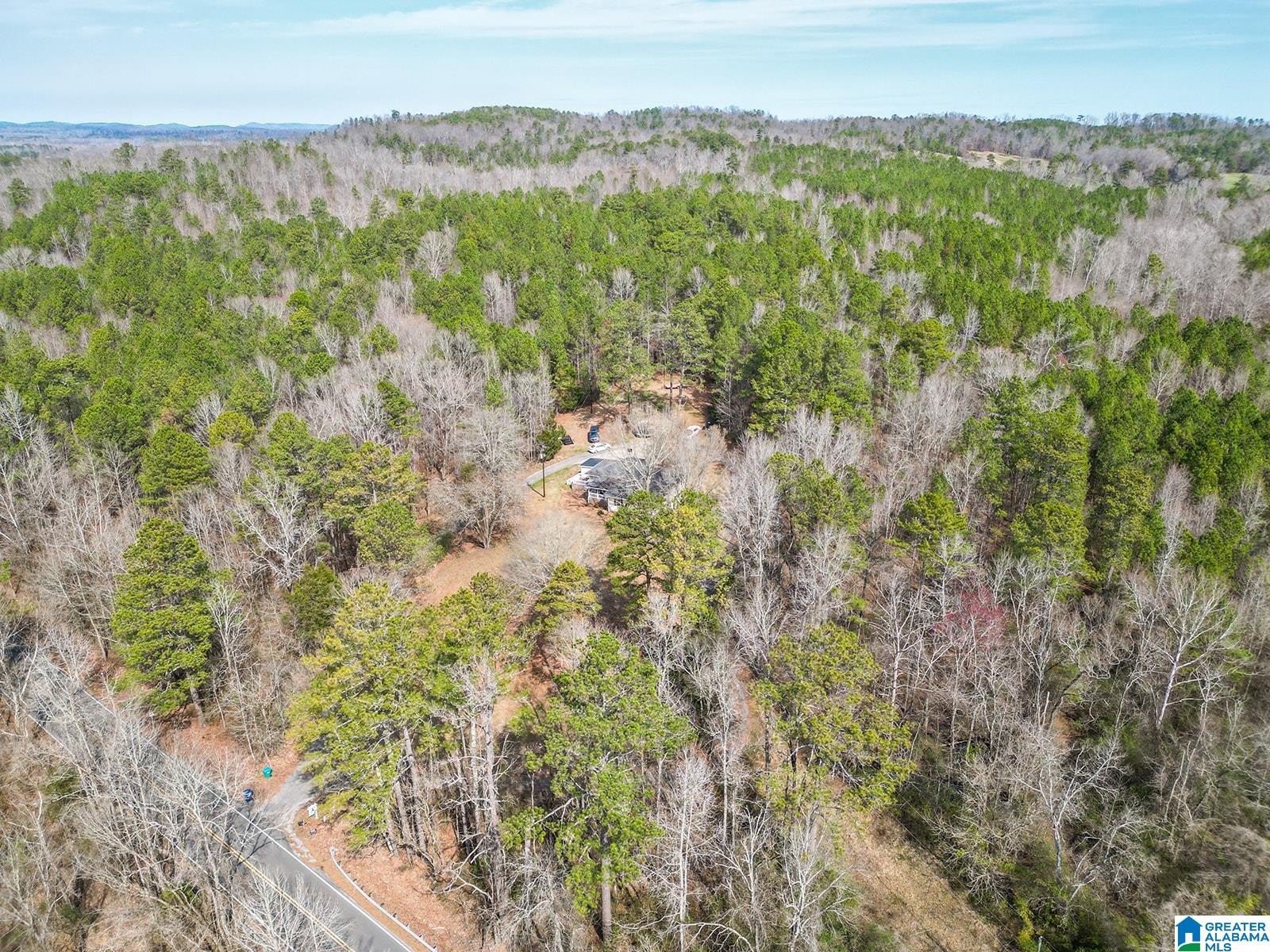 2126 Cedar Springs Road Jacksonville, AL 36265 - Photo 39 of 44