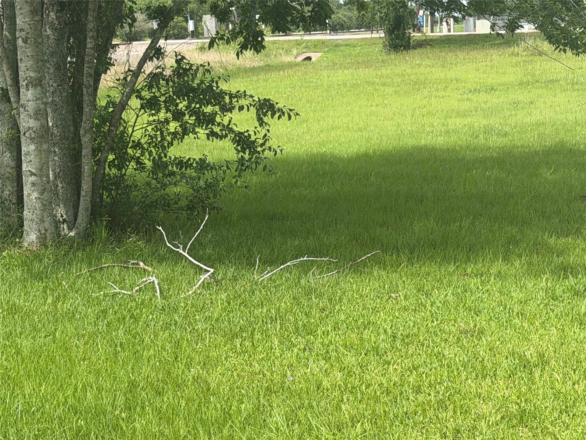 Lot 10 Guess Avenue Kendleton, TX 77417 - Photo 6 of 10