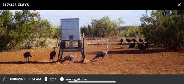 1122 County Road 346 Rotan, TX 79546 - Photo 28 of 49 Photo 28