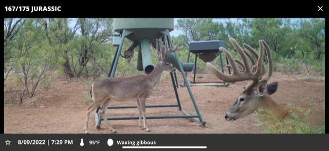 1122 County Road 346 Rotan, TX 79546 - Photo 30 of 49 Photo 30