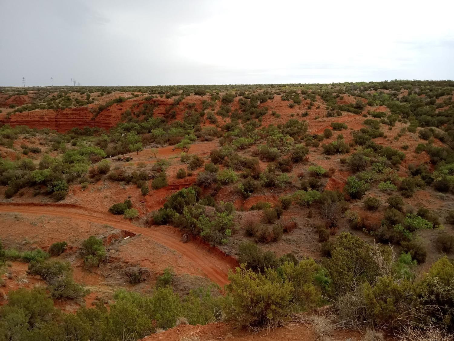 1122 County Road 346 Rotan, TX 79546 - Photo 3 of 49 Photo 3