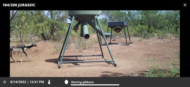 1122 County Road 346 Rotan, TX 79546 - Photo 34 of 49 Photo 34