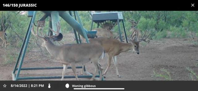 1122 County Road 346 Rotan, TX 79546 - Photo 35 of 49 Photo 35