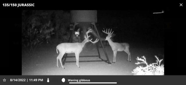 1122 County Road 346 Rotan, TX 79546 - Photo 36 of 49 Photo 36