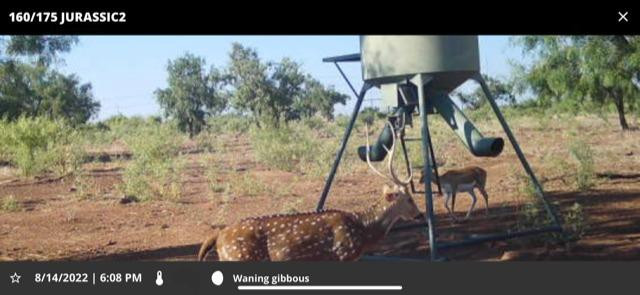 1122 County Road 346 Rotan, TX 79546 - Photo 37 of 49 Photo 37