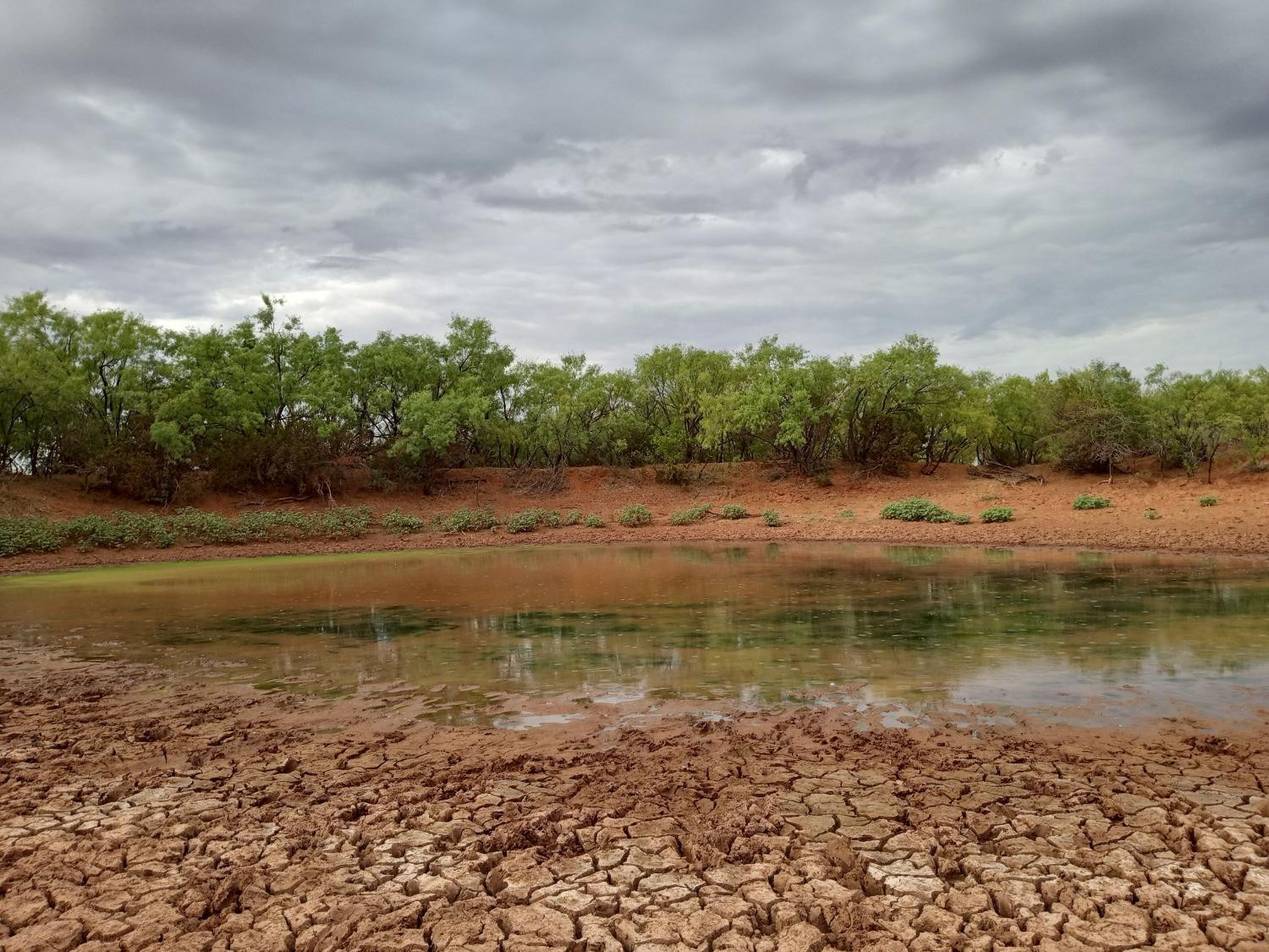 1122 County Road 346 Rotan, TX 79546 - Photo 41 of 49 Photo 41