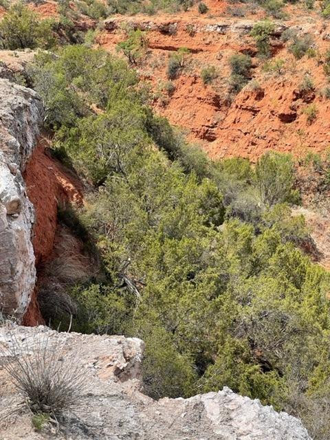 1122 County Road 346 Rotan, TX 79546 - Photo 42 of 49 Photo 42