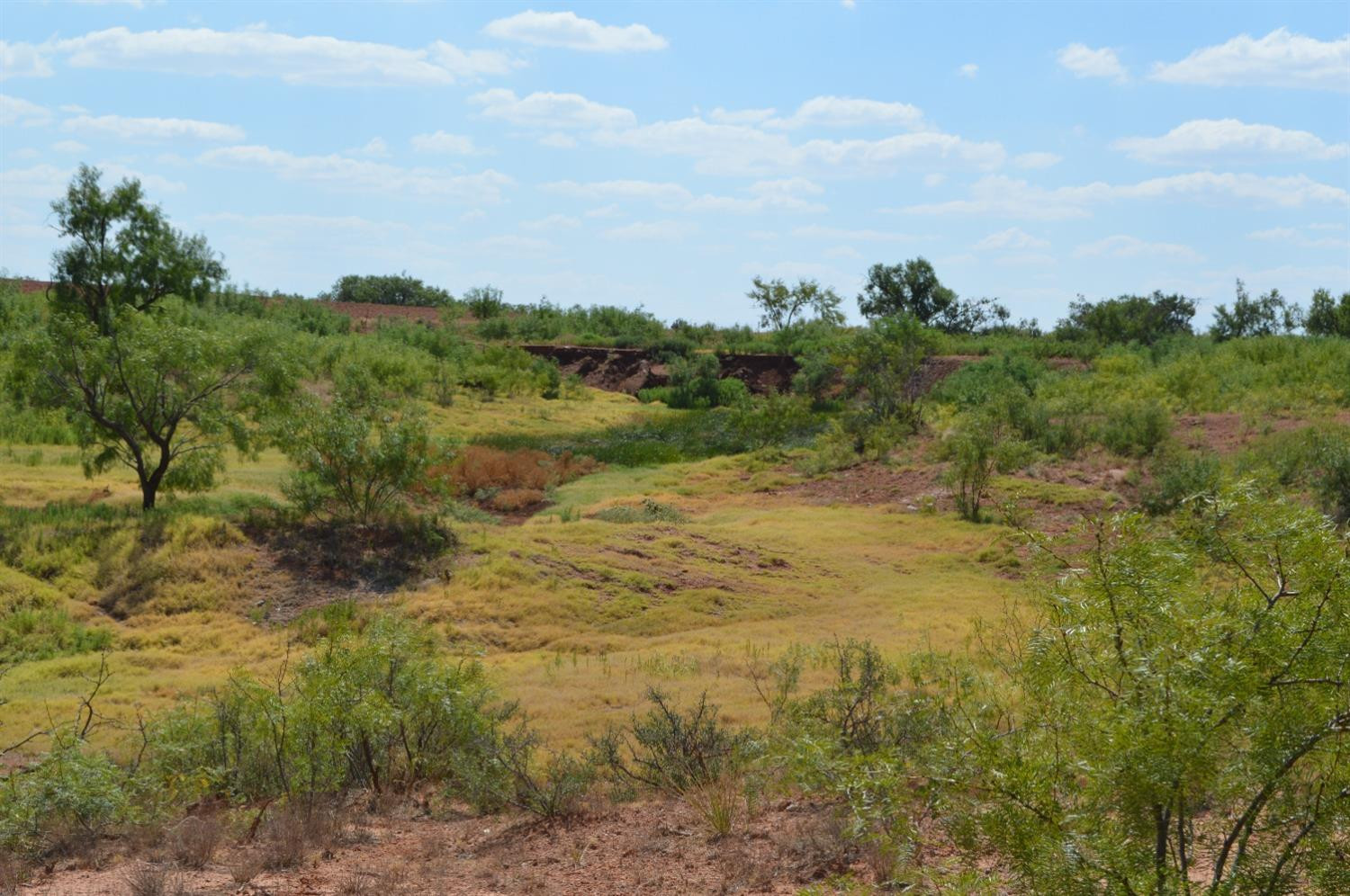 1122 County Road 346 Rotan, TX 79546 - Photo 44 of 49 Photo 44