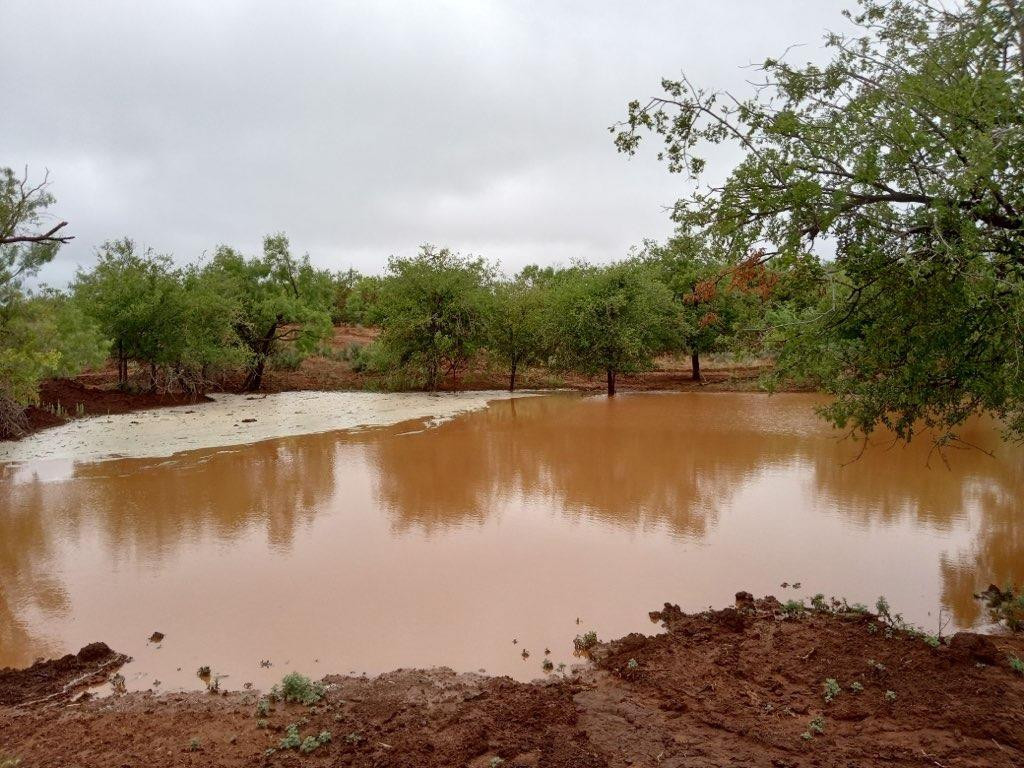 1122 County Road 346 Rotan, TX 79546 - Photo 46 of 49 Photo 46