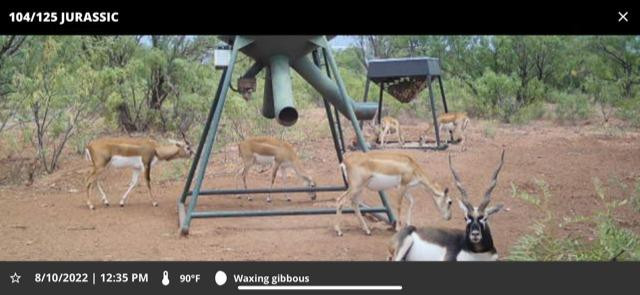 1122 County Road 346 Rotan, TX 79546 - Photo 6 of 49 Photo 6