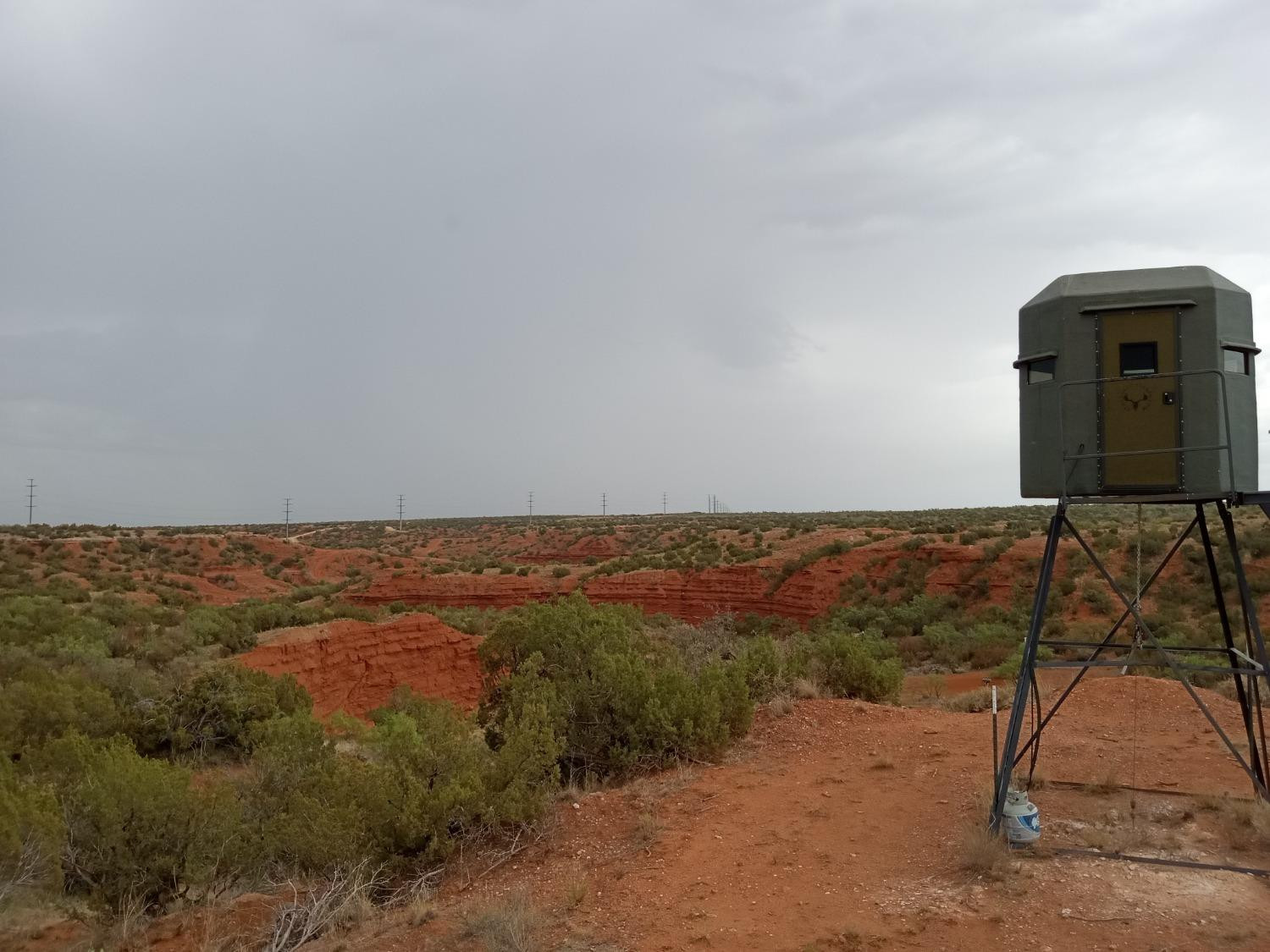 1122 County Road 346 Rotan, TX 79546 - Photo 7 of 49 Photo 7