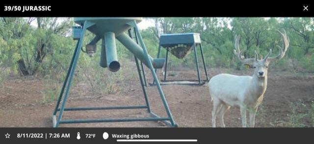 1122 County Road 346 Rotan, TX 79546 - Photo 8 of 49 Photo 8