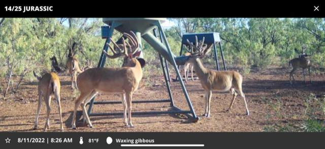 1122 County Road 346 Rotan, TX 79546 - Photo 9 of 49 Photo 9