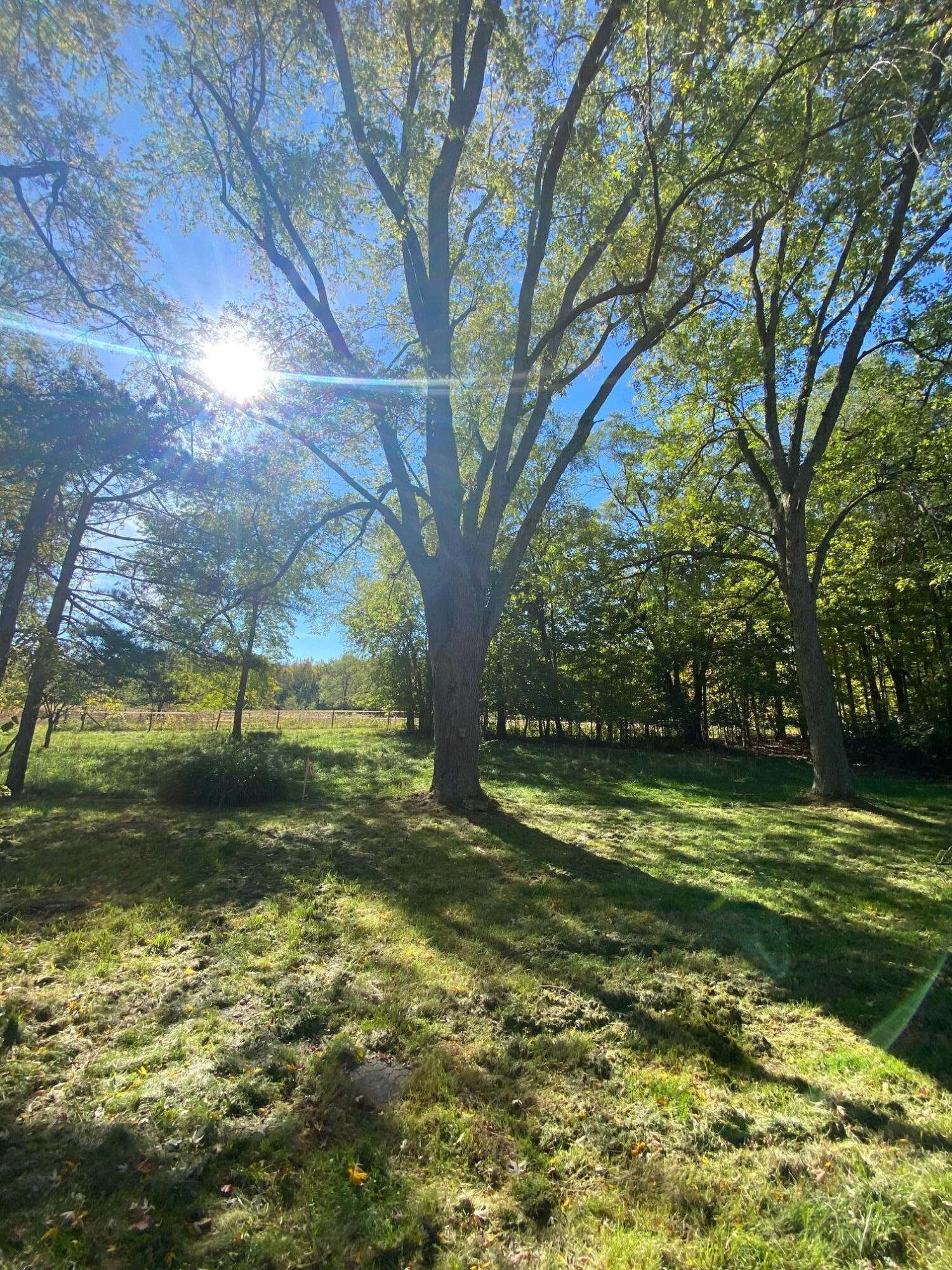 1750 West Chicago Road Niles, MI 49120 - Photo 11 of 28 Backyard