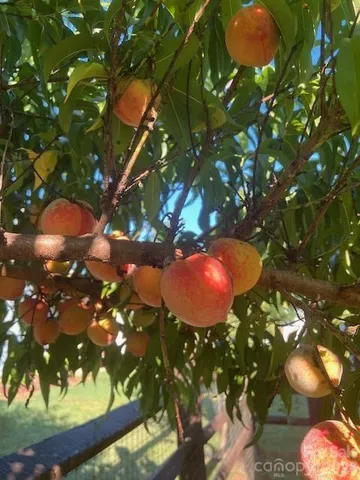 $400,000 | 5128 Meadow Woods Drive, Lowell, NC 28098