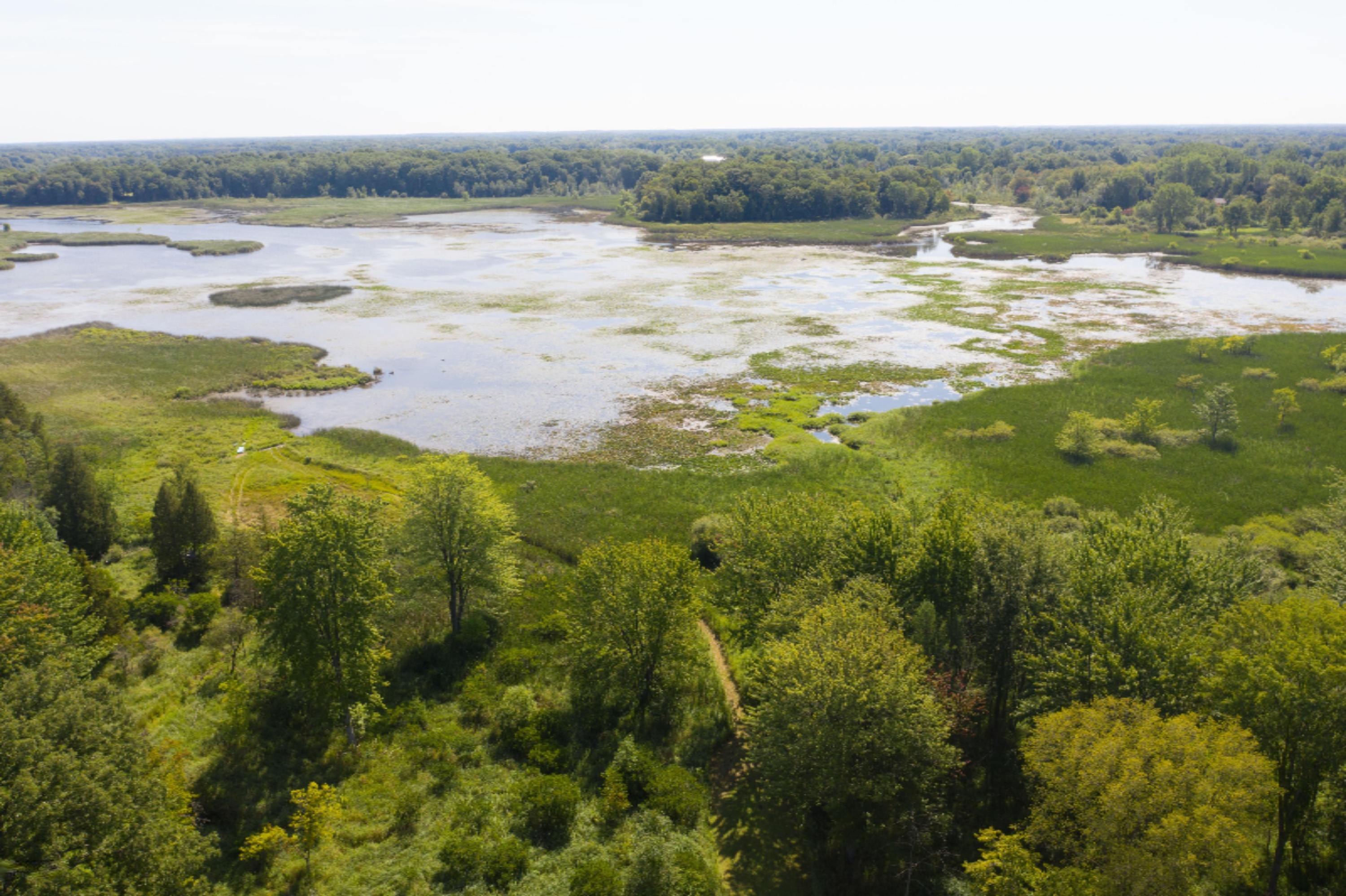 1387 Waldron Road South Crystal, MI 48818 - Photo 8 of 48 DJI_0887