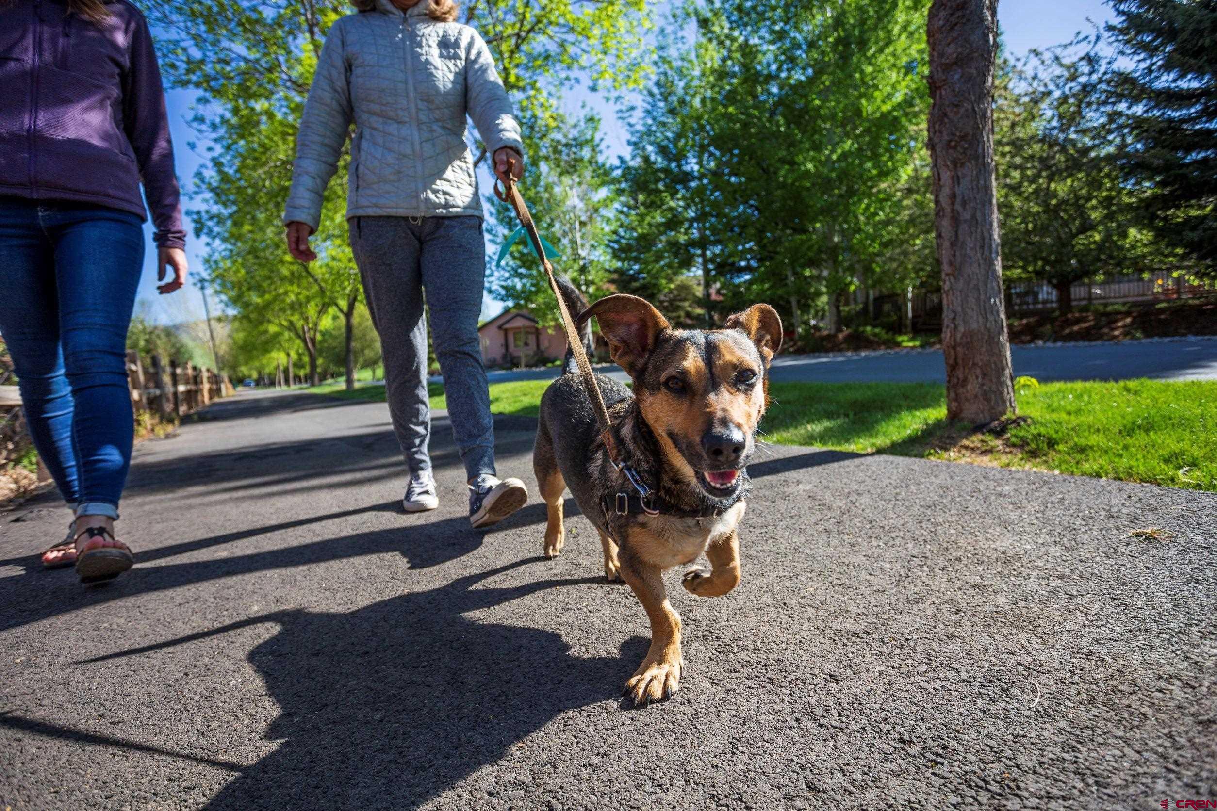 106 West Dalton Road Durango, CO 81301 - Photo 13 of 30