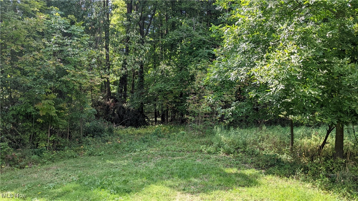 9376 Daniels Road Seville, OH 44273 - Photo 21 of 23