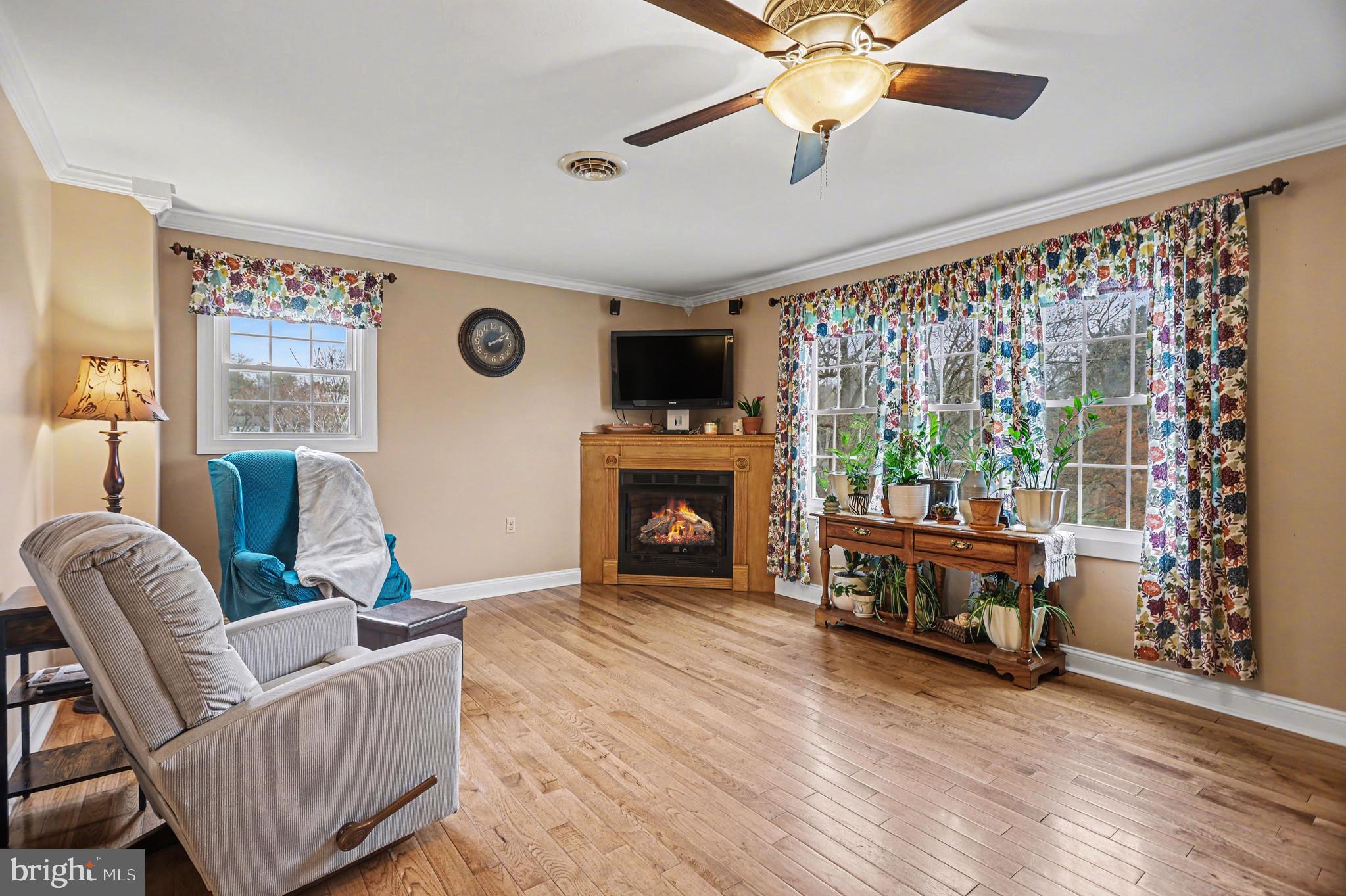 90 Eagle Lane Etters, PA 17319 - Photo 5 of 33 a living room with furniture and a fireplace