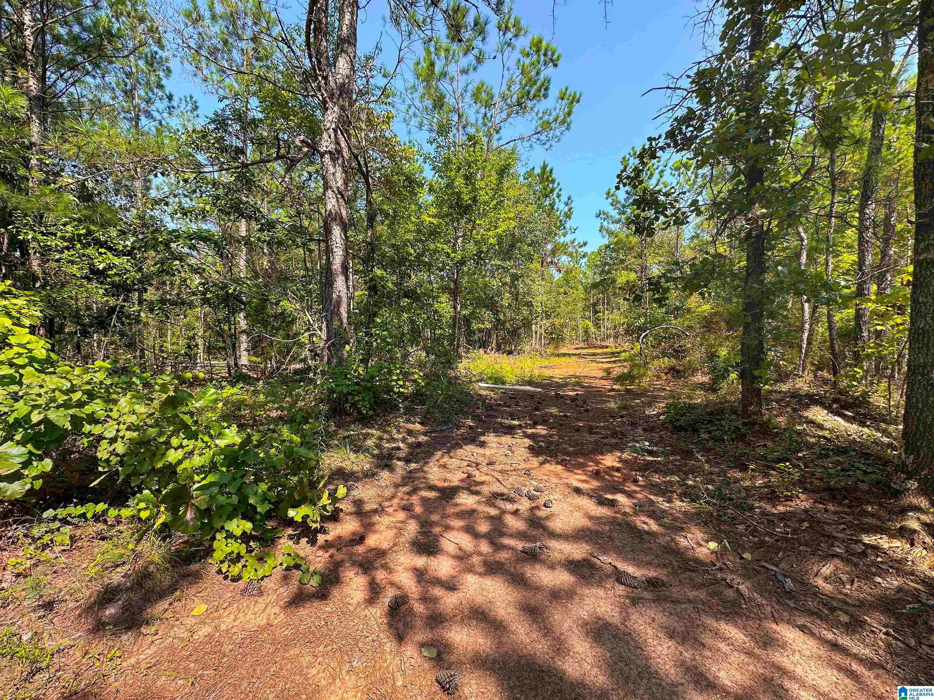 0 County Road 465, Unit 1 Clanton, AL 35045 - Photo 6 of 16