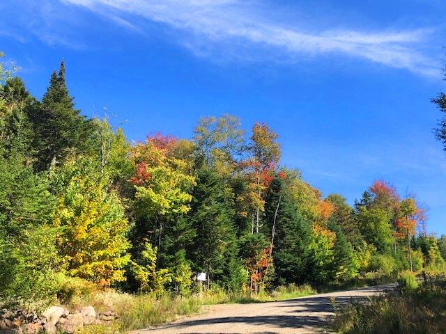 16 Mill Brook Road Sandy River Plt, ME 04970 - Photo 22 of 23 Road