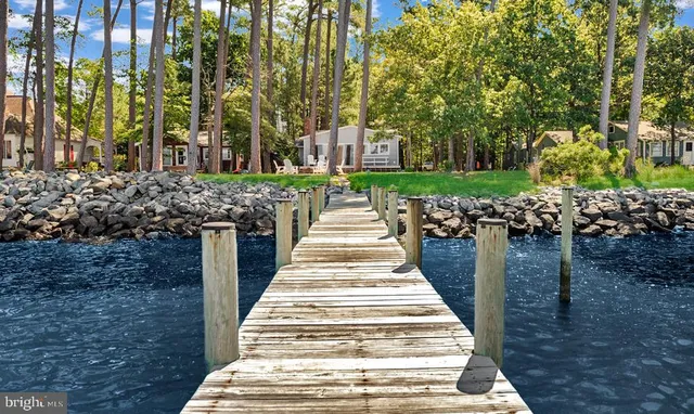 a walkway with trees in front of it