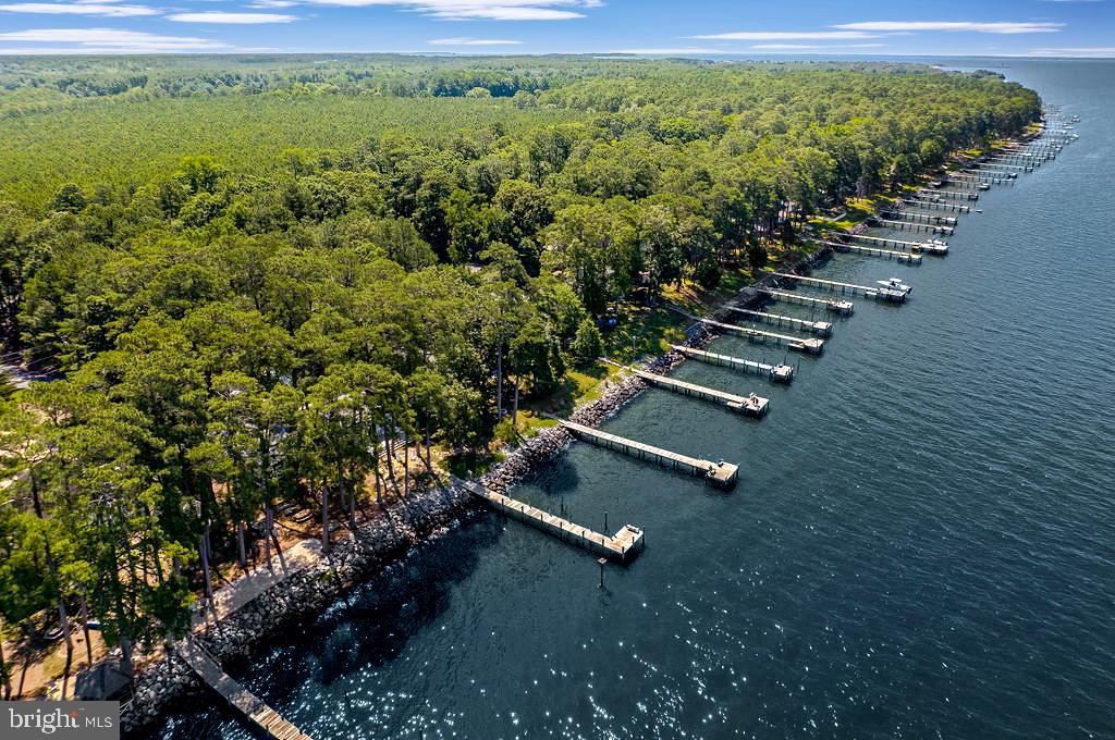 18375 River Road Tall Timbers, MD 20690 - Photo 60 of 61 a view of a garden with an outdoor space
