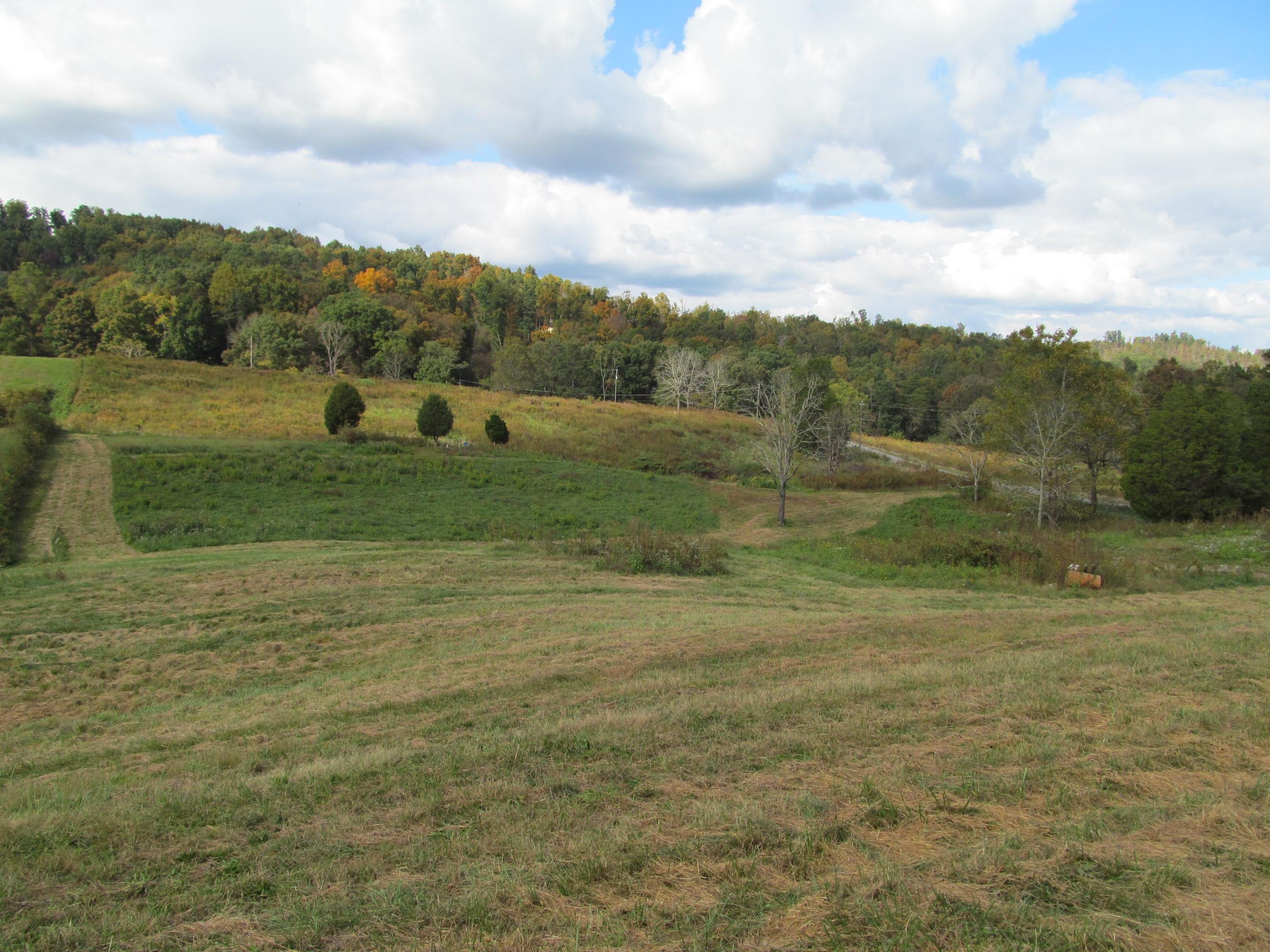 271 Hickory Point Lane Maynardville, TN 37807 - Photo 1 of 4 IMG_0287