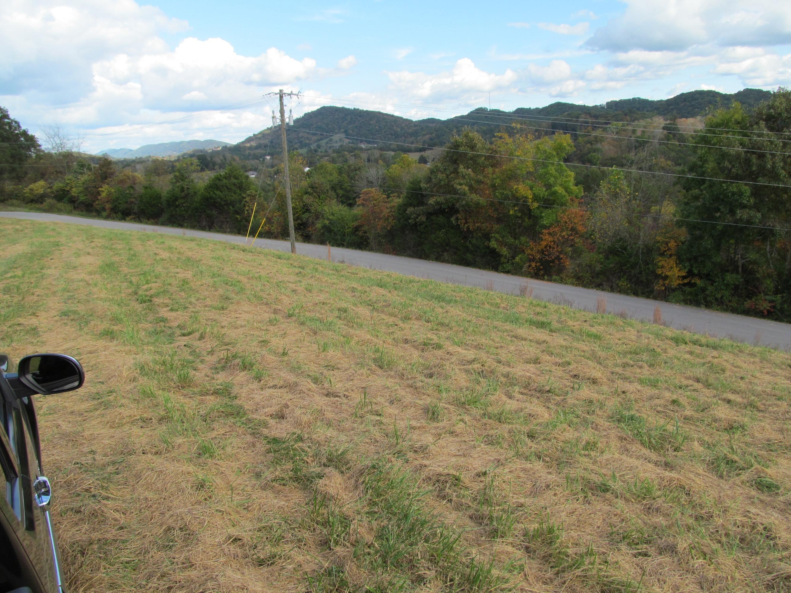 271 Hickory Point Lane Maynardville, TN 37807 - Photo 3 of 4 IMG_0289