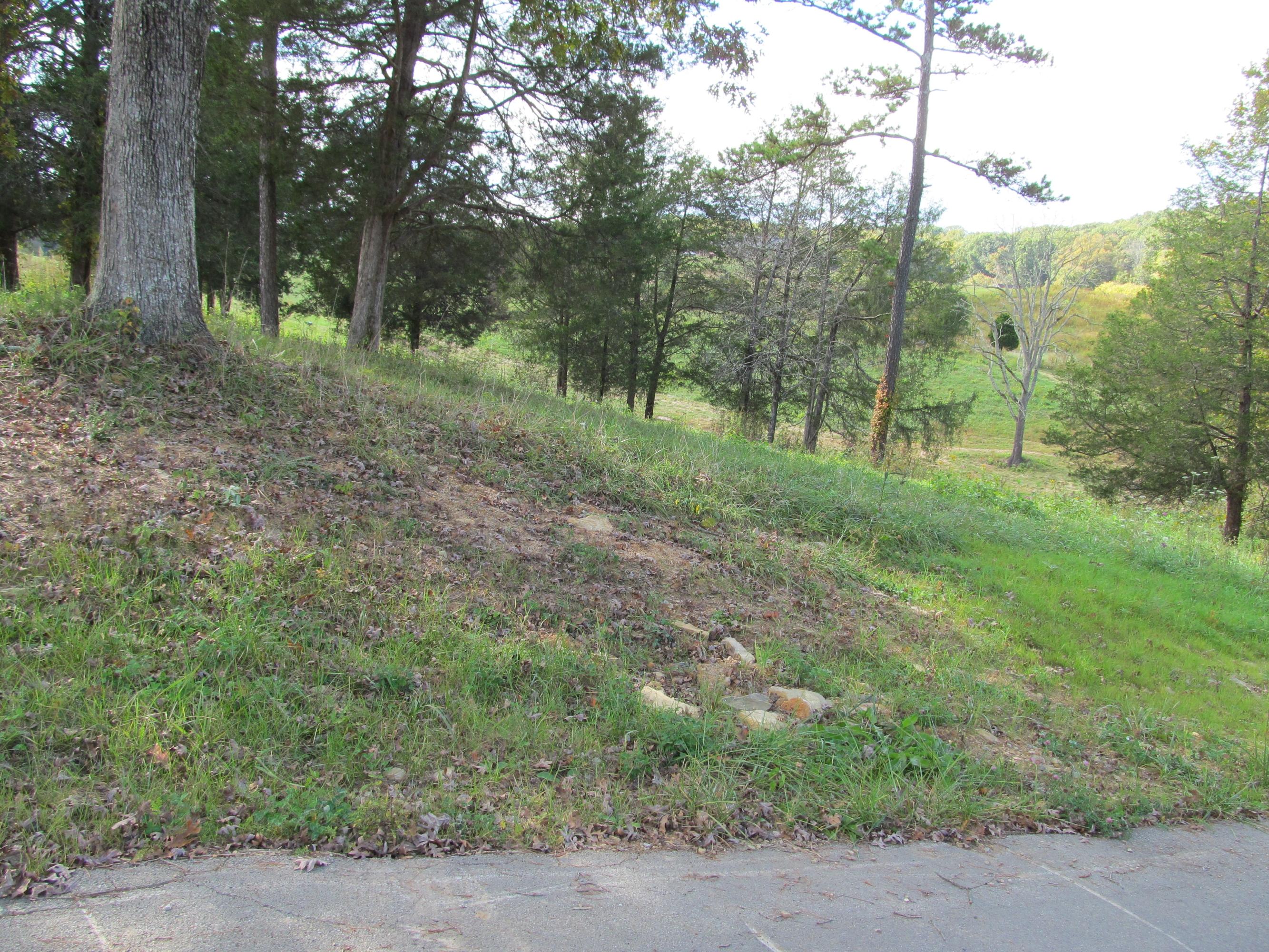 271 Hickory Point Lane Maynardville, TN 37807 - Photo 4 of 4 IMG_0290