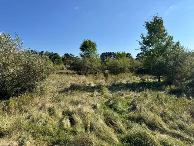 $100,000 | 2 Fox Lane, Benzonia, MI 49616