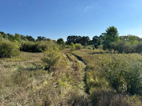 $100,000 | 2 Fox Lane, Benzonia, MI 49616