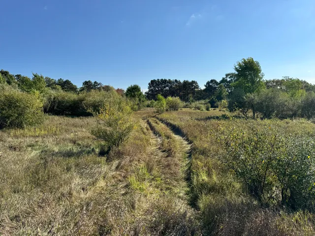 $100,000 | 2 Fox Lane, Benzonia, MI 49616