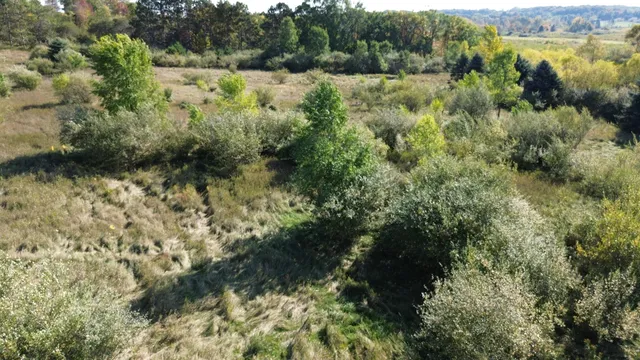 $100,000 | 2 Fox Lane, Benzonia, MI 49616