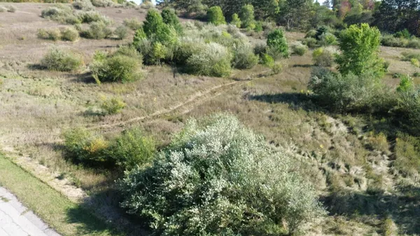 $100,000 | 2 Fox Lane, Benzonia, MI 49616