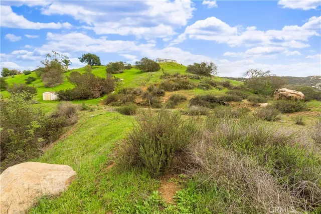 a view of a bunch of trees and houses