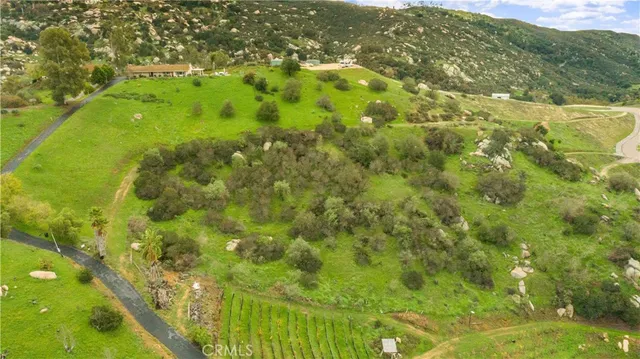 a view of a big yard with large trees