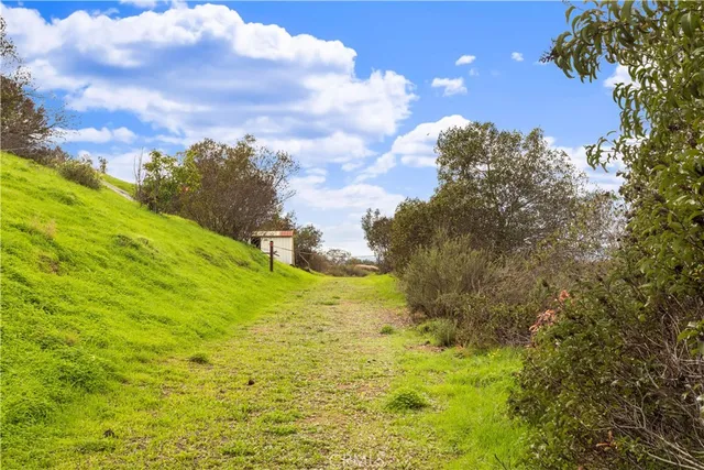 a view of a big yard with large trees