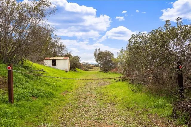 a house view with swimming pool and trees in the background