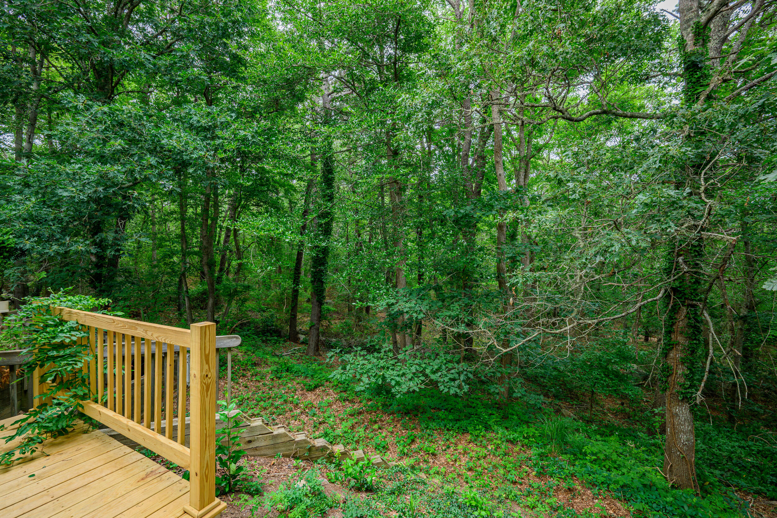 267 Great Fields Road Brewster, MA 02631 - Photo 45 of 56 Deck