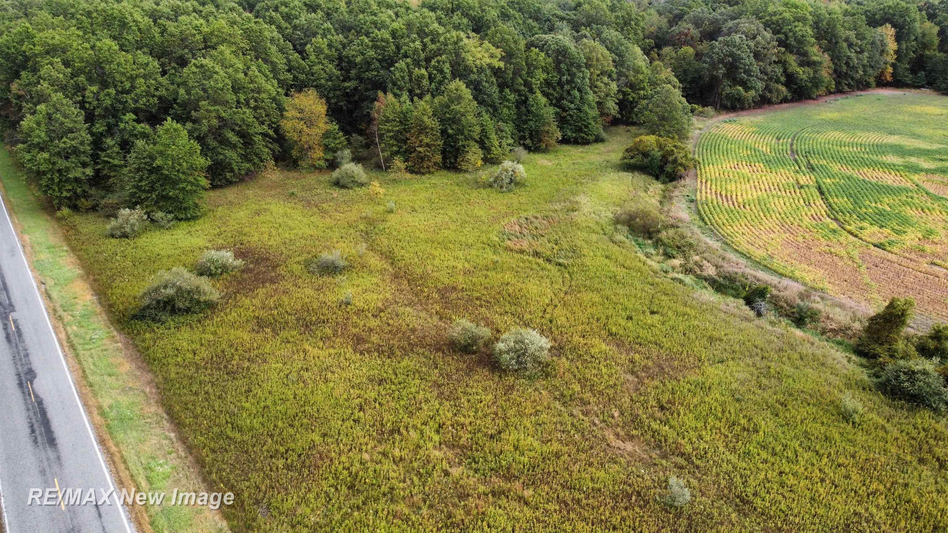 Ithaca Road St. Charles, MI 48655 - Photo 18 of 21
