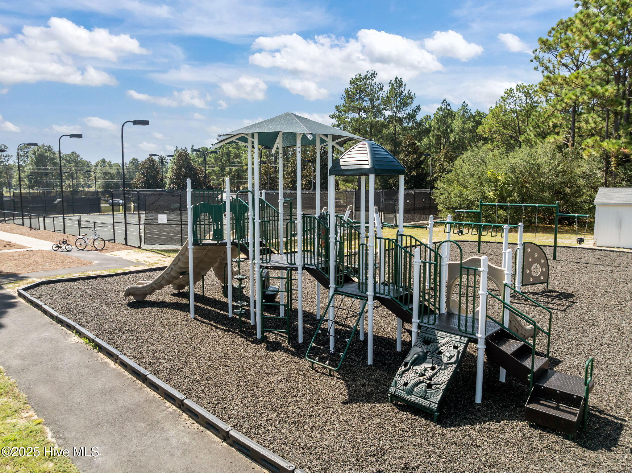 495 Kerr Lake Road Aberdeen, NC 28315 - Photo 41 of 46 99-web-or-mls-DJI_0390