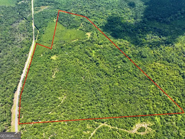 $575,000 | 0 Liberty Grove Church Road, Wrightsville, GA 31096