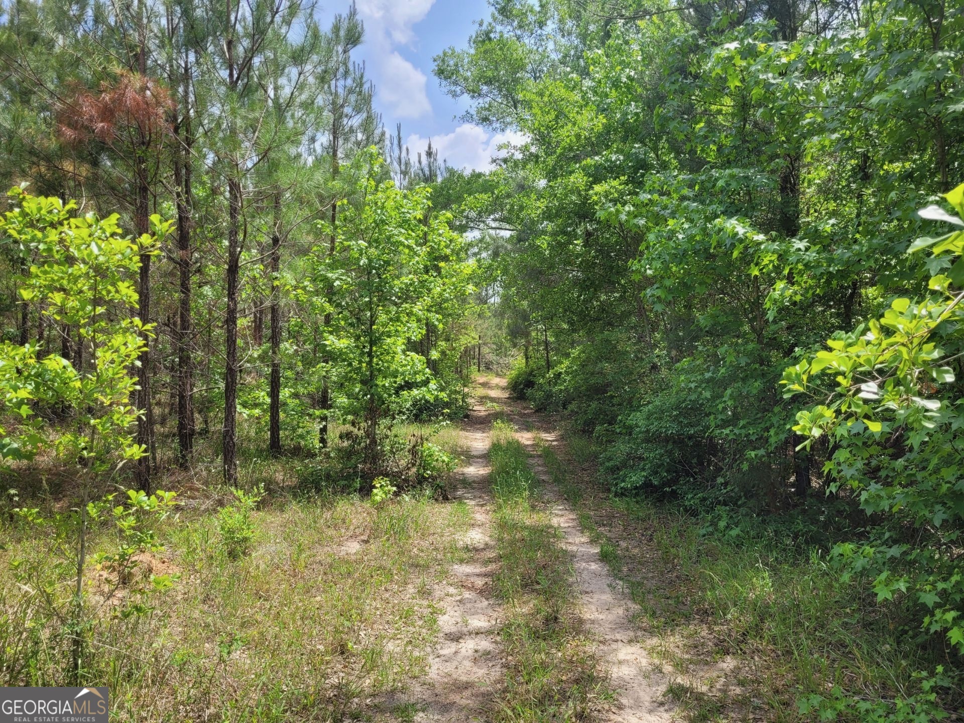 0 Liberty Grove Church Road Wrightsville, GA 31096 - Photo 12 of 46 a view of a garden