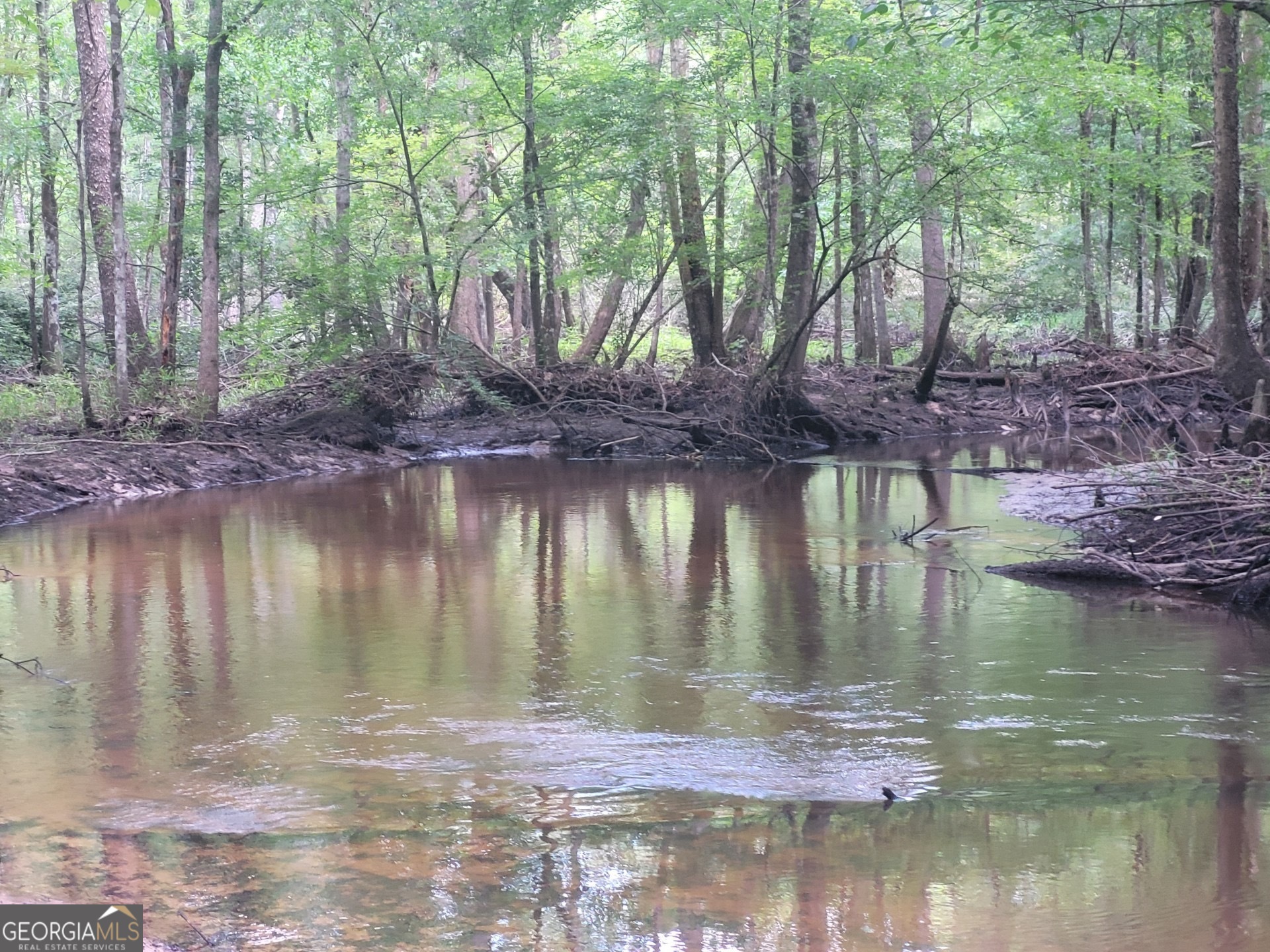 0 Liberty Grove Church Road Wrightsville, GA 31096 - Photo 13 of 46