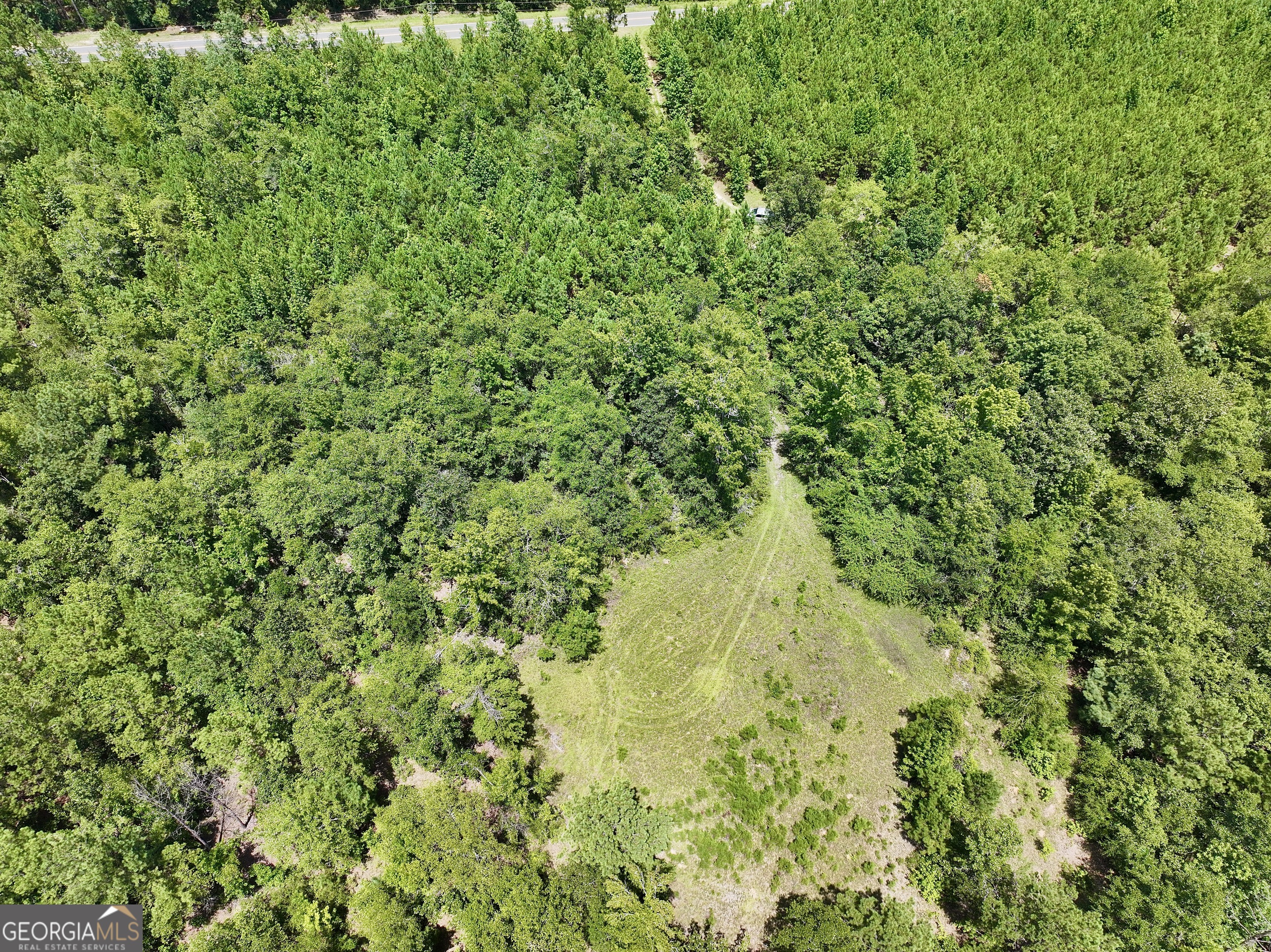 0 Liberty Grove Church Road Wrightsville, GA 31096 - Photo 19 of 46 a view of a lush green forest