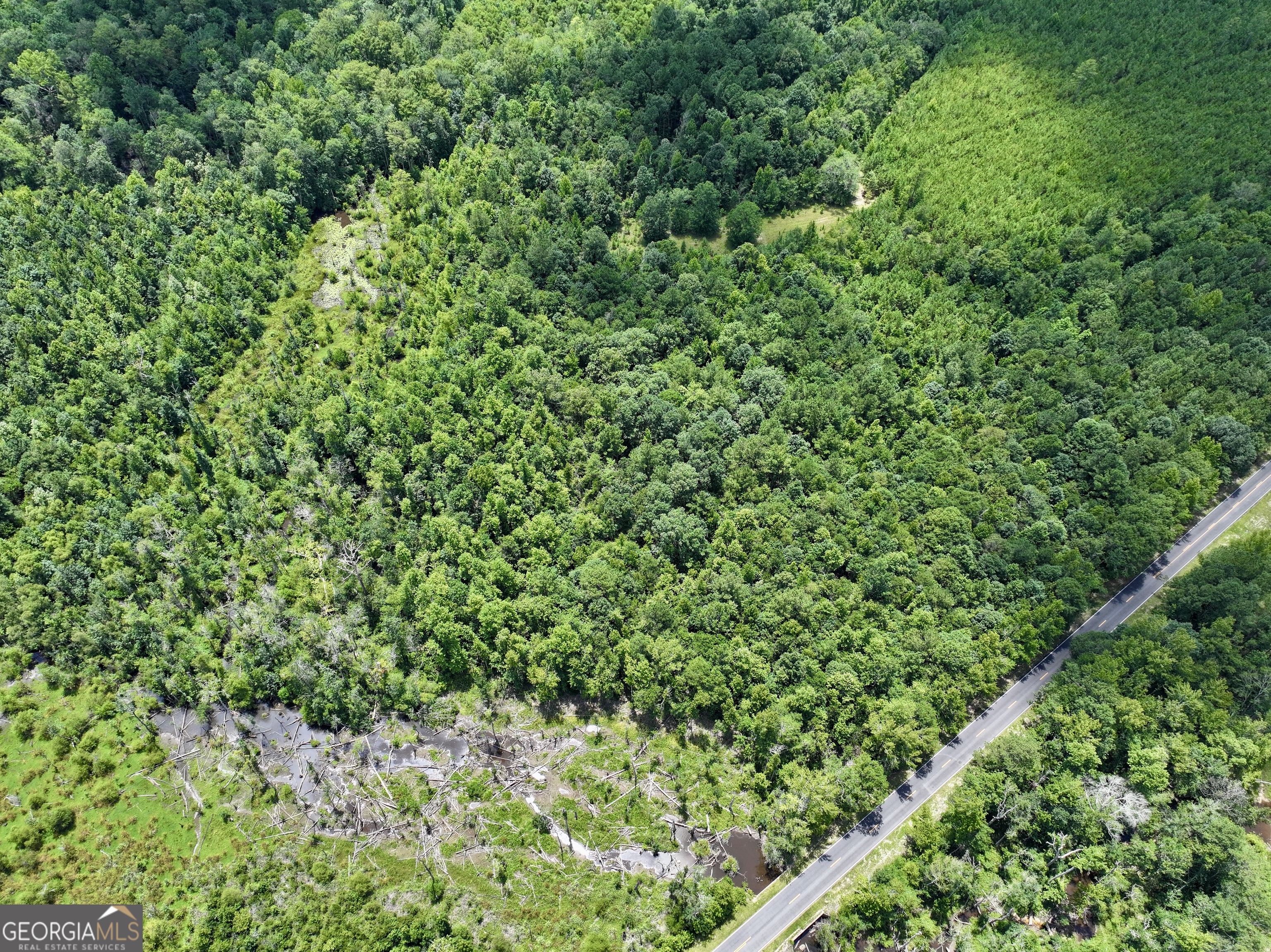 0 Liberty Grove Church Road Wrightsville, GA 31096 - Photo 20 of 46 a view of a lush green forest