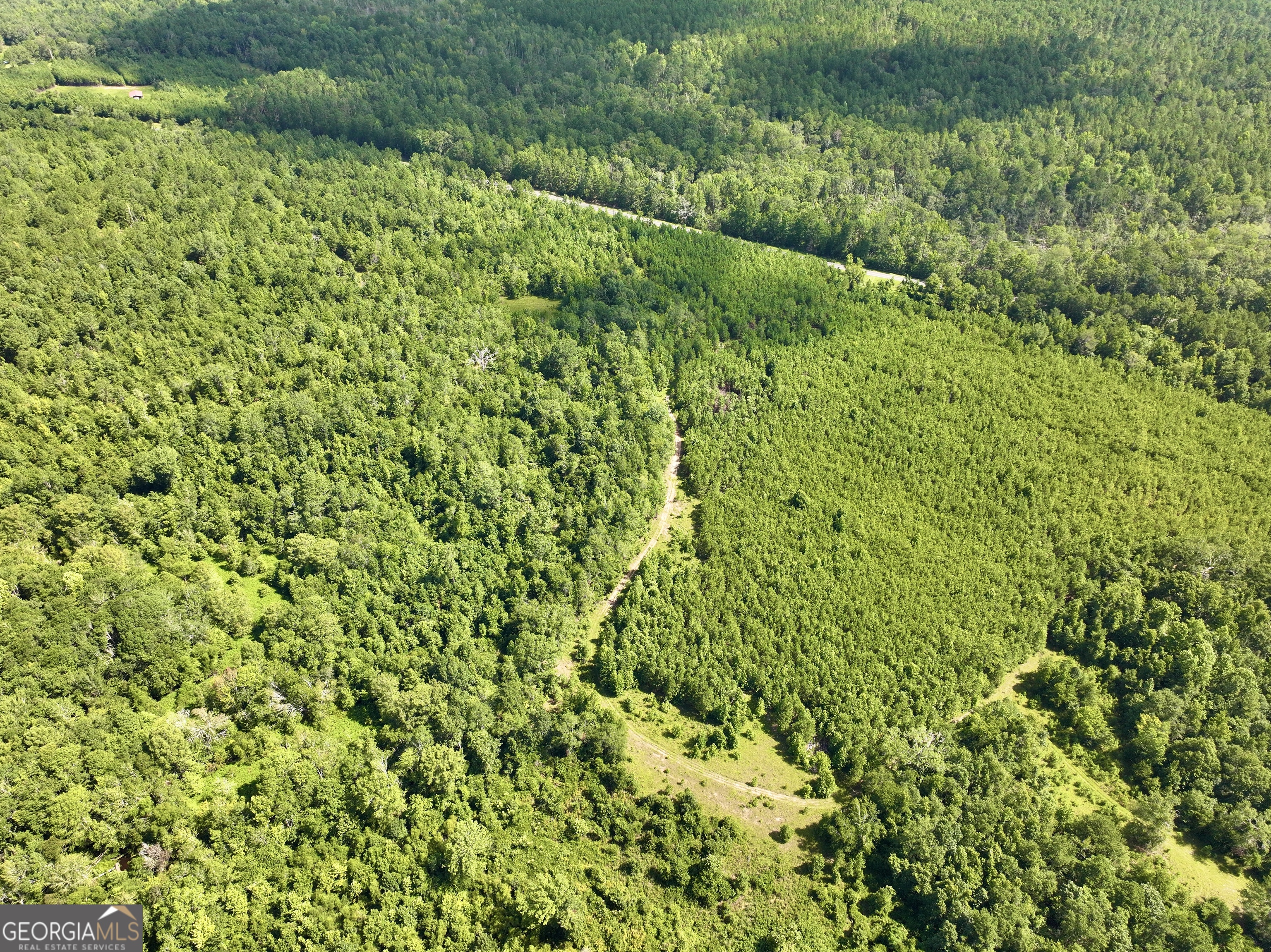 0 Liberty Grove Church Road Wrightsville, GA 31096 - Photo 21 of 46 a view of a lush green forest with large trees