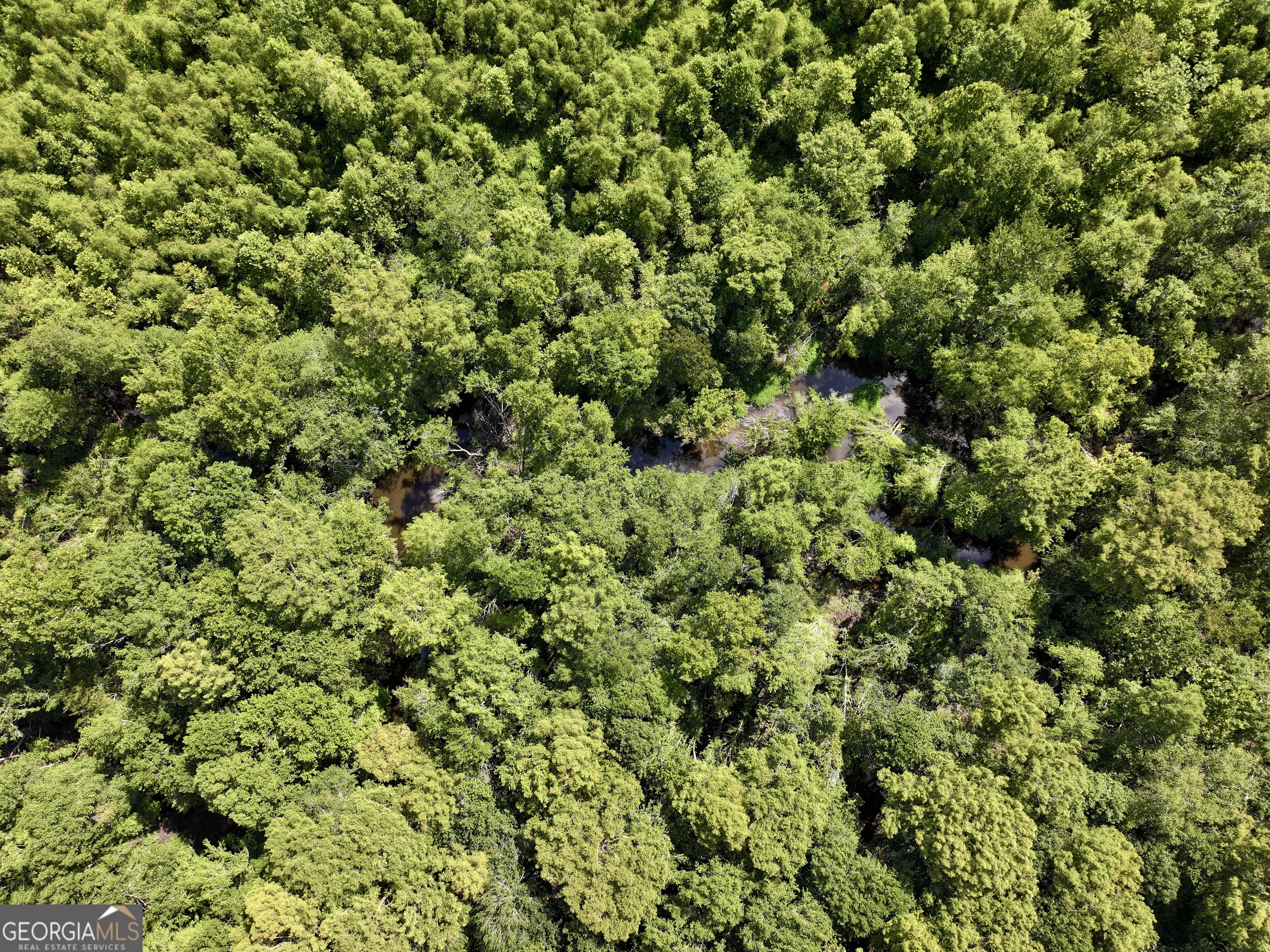 0 Liberty Grove Church Road Wrightsville, GA 31096 - Photo 24 of 46 a view of a lush green forest