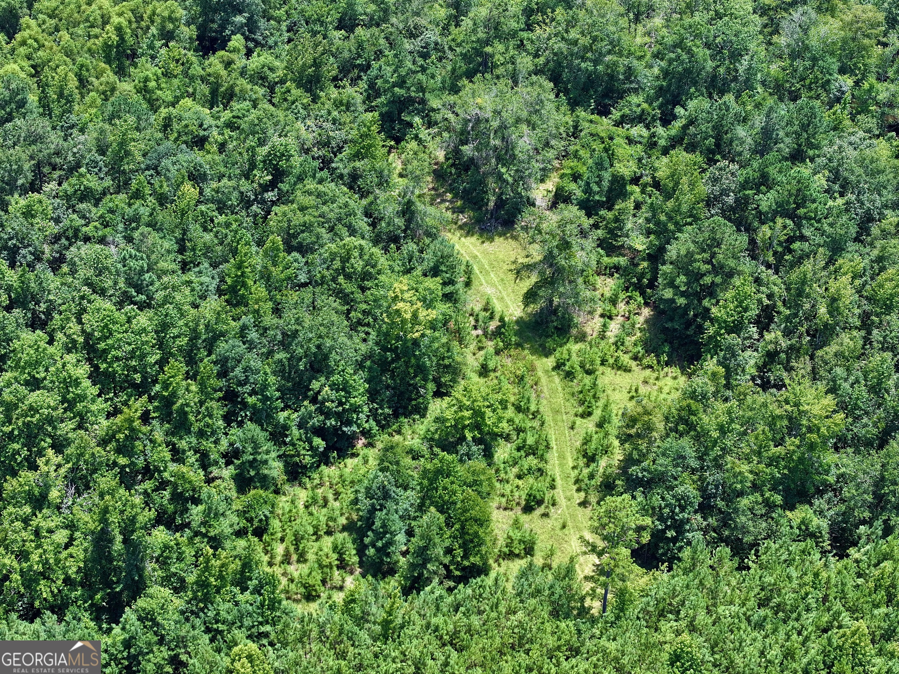 0 Liberty Grove Church Road Wrightsville, GA 31096 - Photo 25 of 46 a view of a lush green forest